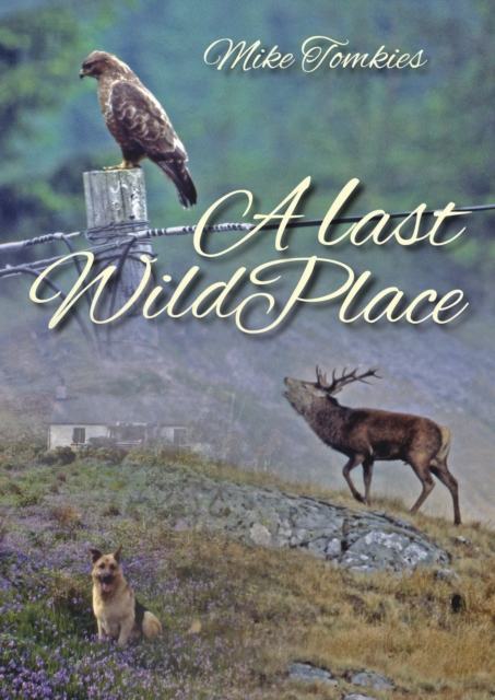 A Last Wild Place, Paperback / softback Book