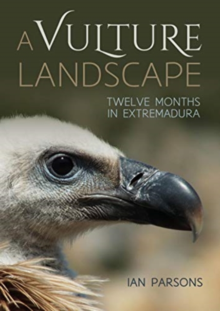 A Vulture Landscape : Twelve Months in Extremadura, Paperback / softback Book