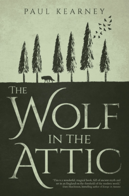 The Wolf in the Attic, EPUB eBook
