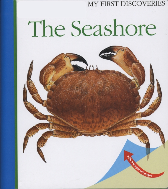 The Seashore, Spiral bound Book