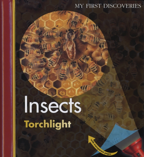 Insects, Spiral bound Book