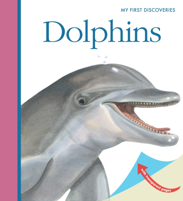 Dolphins, Spiral bound Book