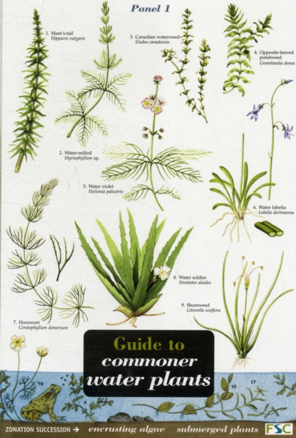 Guide to Commoner Water Plants, Sheet map, folded Book