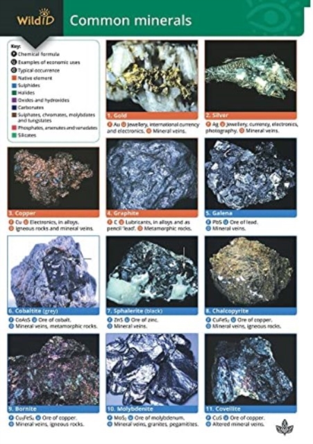 Guide to Common Minerals, Wallchart Book