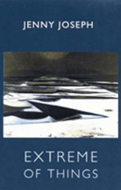 Extreme of Things, Paperback / softback Book