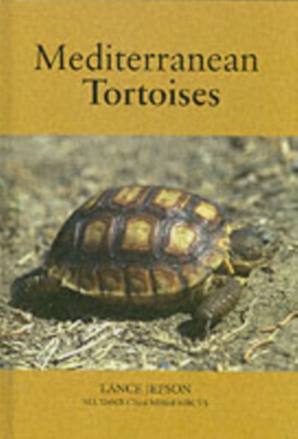 Mediterranean Tortoises, Hardback Book