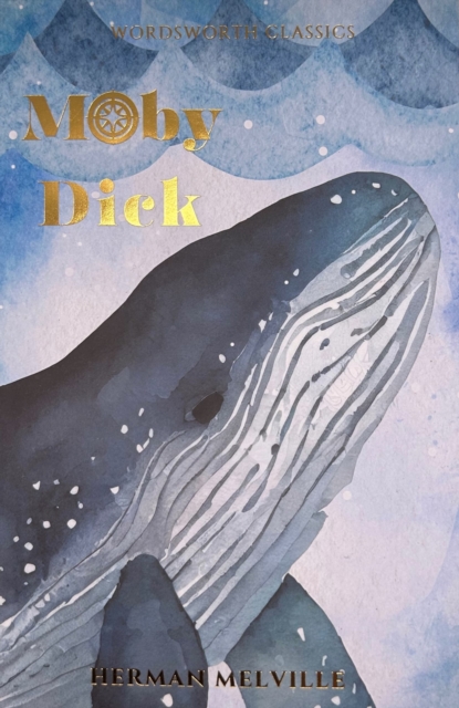 Moby Dick, Paperback / softback Book