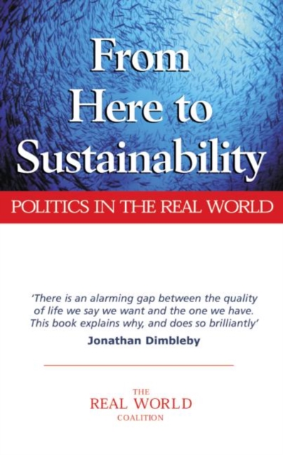 From Here to Sustainability : Politics in the Real World, Paperback / softback Book