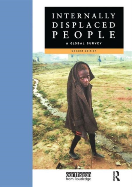 Internally Displaced People : A Global Survey, Paperback / softback Book