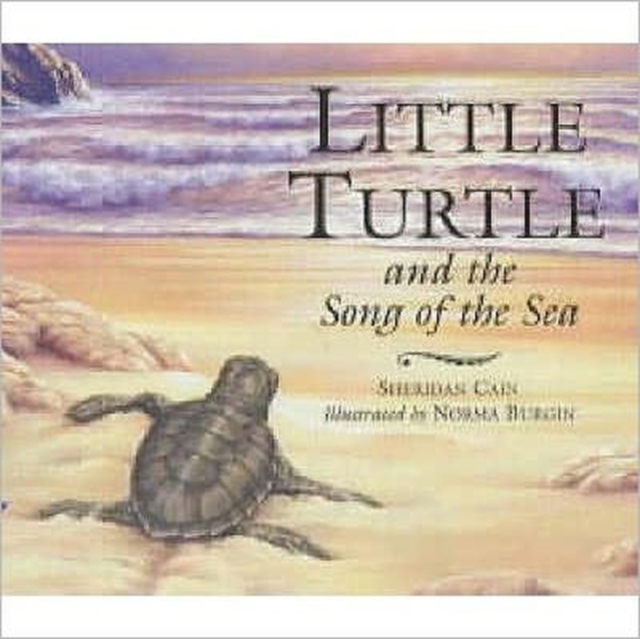 Little Turtle and the Song of the Sea, Paperback / softback Book