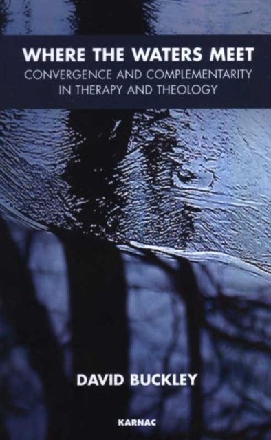 Where the Waters Meet : Convergence and Complementarity in Therapy and Theology, Paperback / softback Book