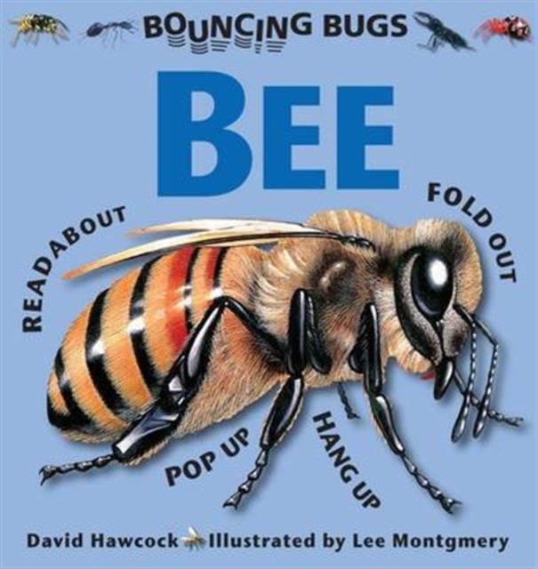 Bouncing Bugs - Bee, Hardback Book