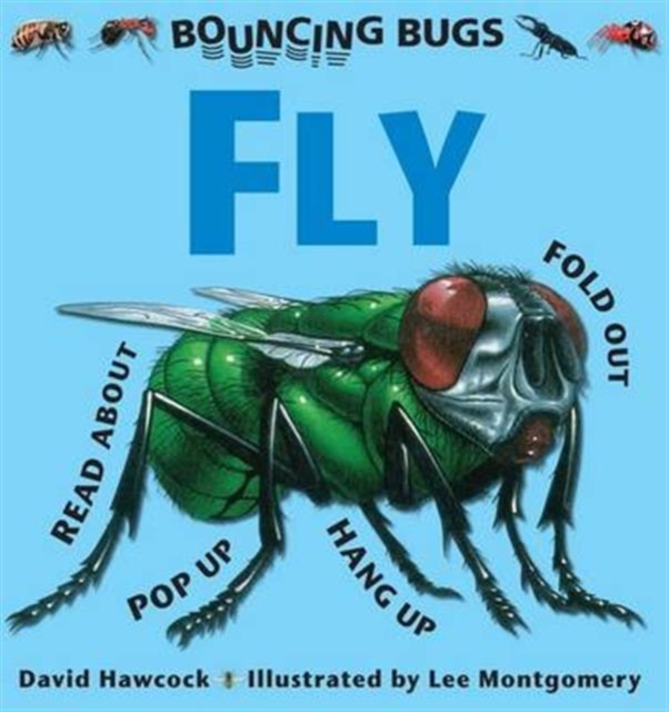 Bouncing Bugs - Fly, Hardback Book