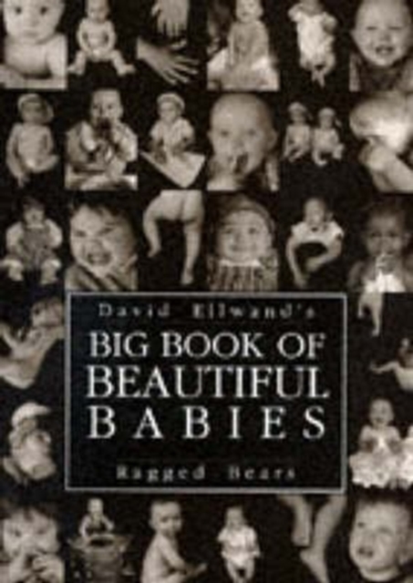 Big Book of Beautiful Babies, Hardback Book