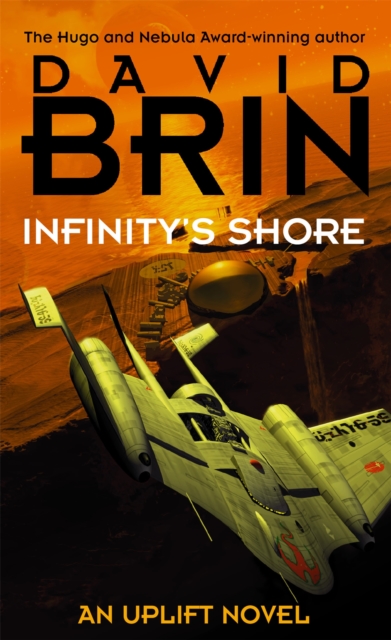 Infinity's Shore, Paperback / softback Book