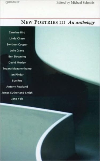 New Poetries v.3, Paperback / softback Book