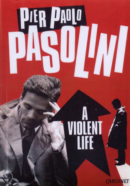 A violent life, Paperback / softback Book