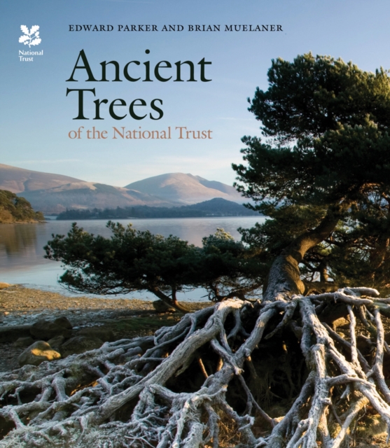 Ancient Trees of the National Trust, Hardback Book