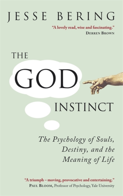 The God Instinct : The Psychology of Souls, Destiny and the Meaning of Life, Paperback / softback Book