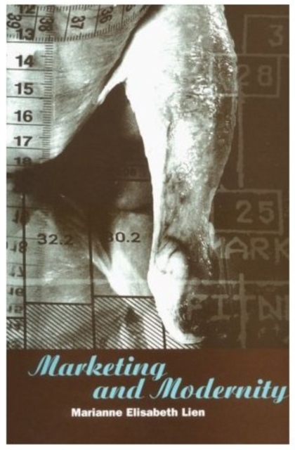 Marketing and Modernity : An Ethnography of Marketing Practice, Paperback / softback Book
