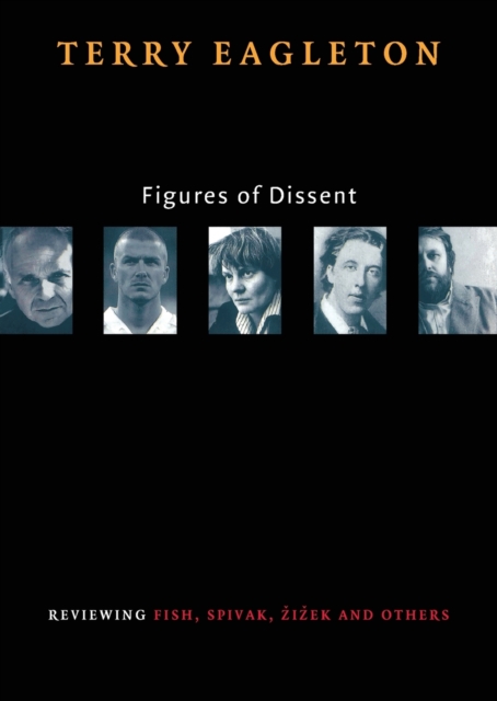 Figures of Dissent : Reviewing Fish, Spivak, Zizek, and Others, Paperback / softback Book