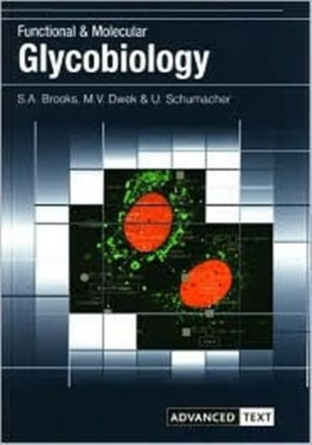 Functional and Molecular Glycobiology, Paperback / softback Book