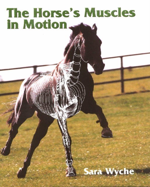 The Horse's Muscles in Motion, Hardback Book