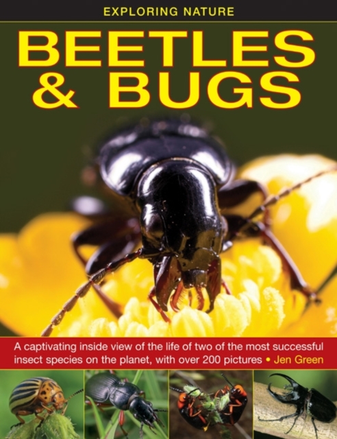 Exploring Nature: Beetles & Bugs, Hardback Book