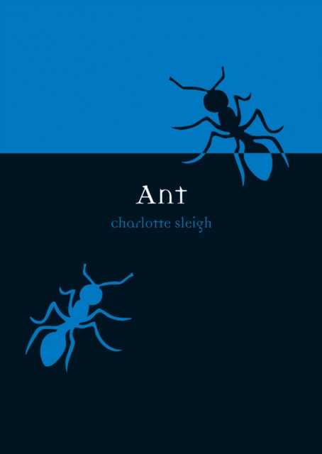 Ant, Paperback / softback Book