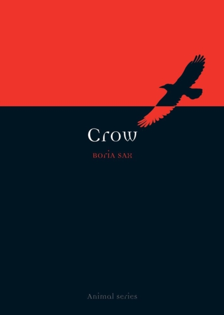 Crow, Paperback / softback Book