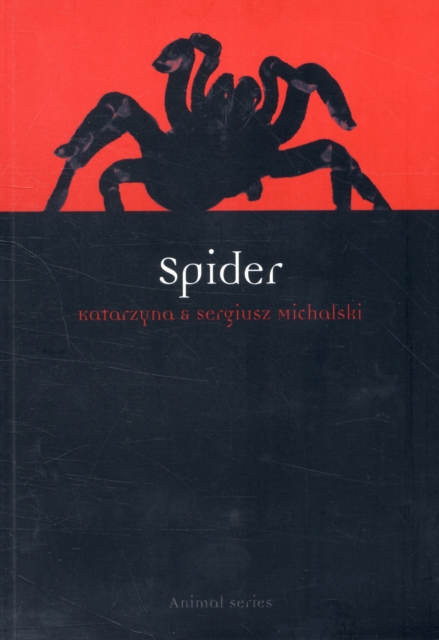Spider, Paperback / softback Book