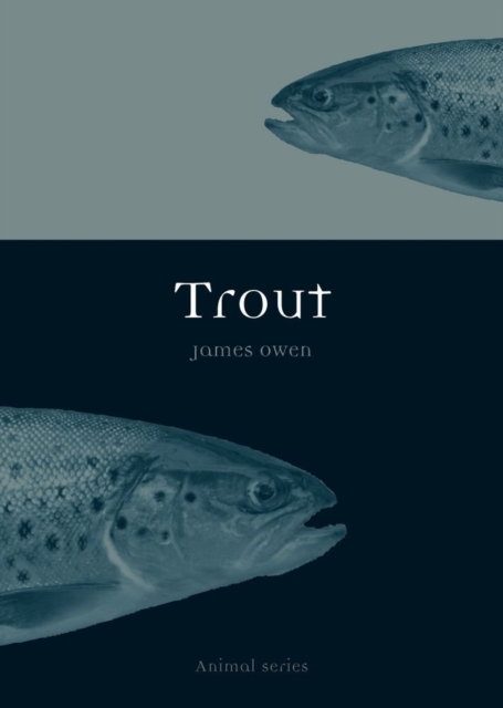 Trout, Paperback / softback Book