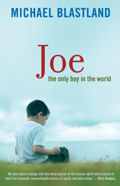 Joe : The Only Boy in the World, Paperback / softback Book
