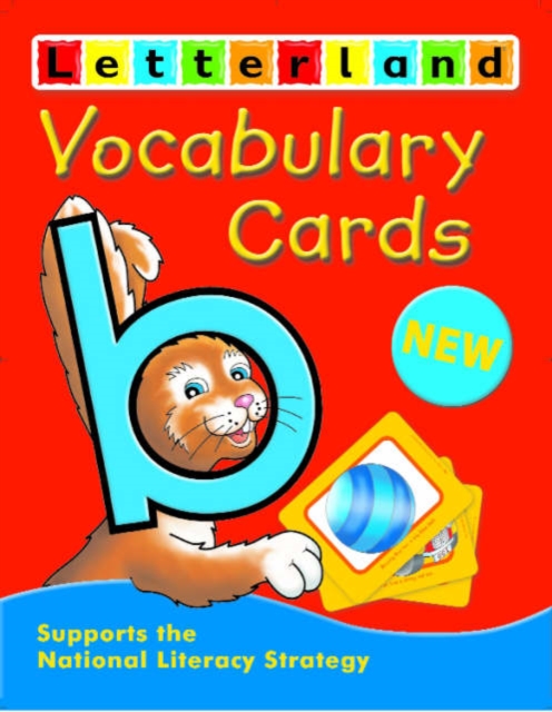 Vocabulary Cards, Cards Book