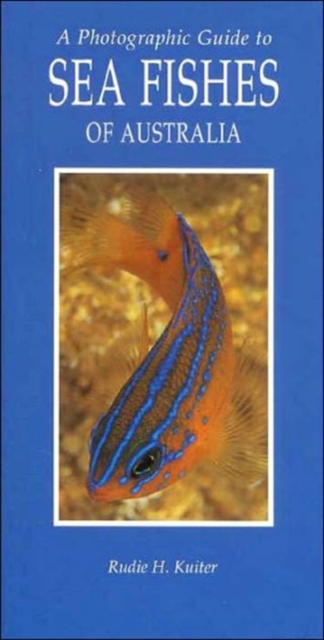 A Photographic Guide to Sea Fishes of Australia, Paperback / softback Book
