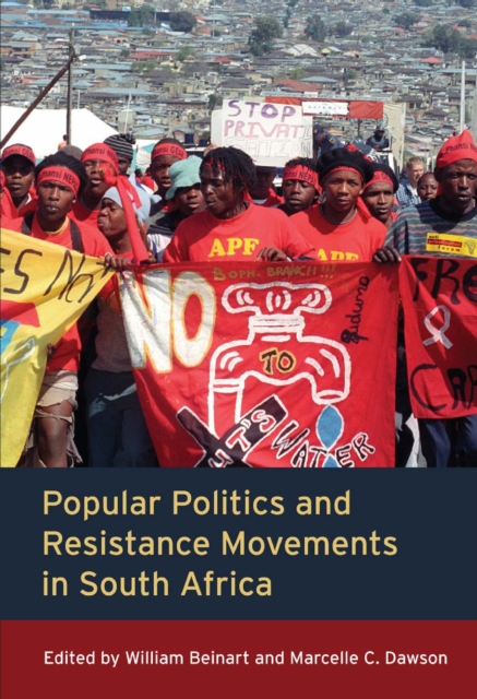 Popular Politics and Resistance Movements in South Africa, EPUB eBook