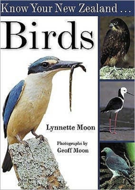 Know Your New Zealand Birds, Paperback / softback Book