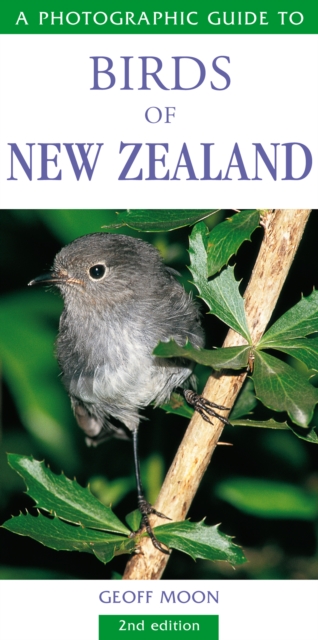 Photographic Guide To Birds Of New Zealand, Paperback / softback Book