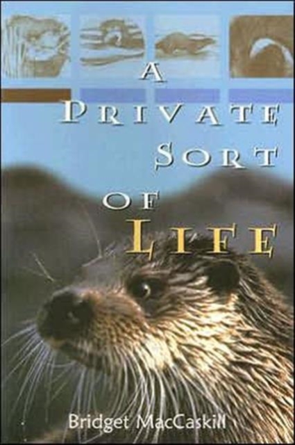 A Private Sort of Life, Paperback / softback Book