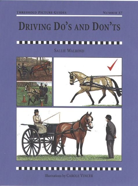 Driving Dos and Don'ts, Paperback / softback Book