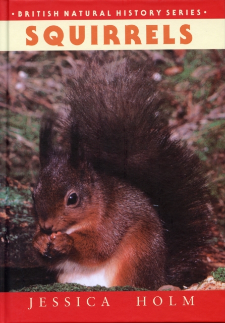Squirrels, Hardback Book