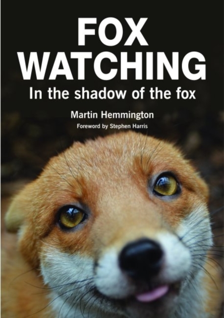 Fox Watching : In the Shadow of the Fox, Paperback / softback Book