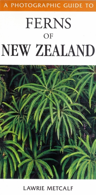 Photographic Guide To Ferns Of New Zealand, Paperback / softback Book