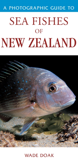 Photographic Guide To Sea Fishes Of New Zealand, Book Photographic Guide To Sea Fishes Of New Zealand, Book