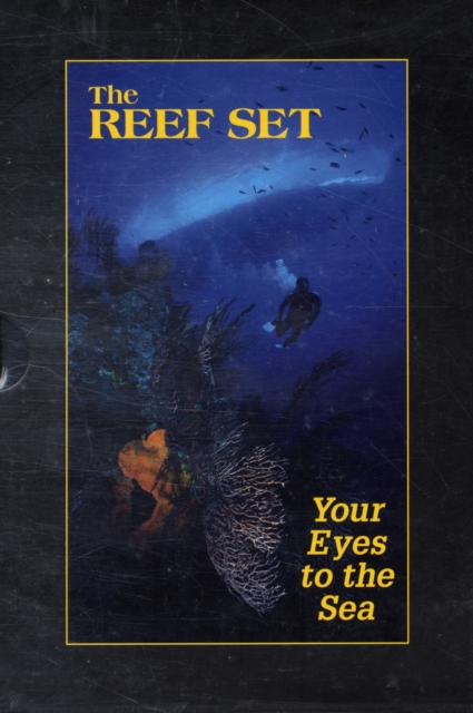 Reef Set : Your Eyes to the Sea, Paperback / softback Book