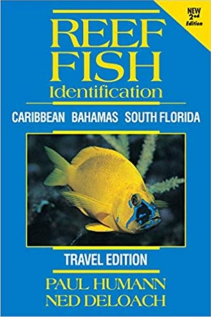 Reef Fish Identification TRAVEL, Paperback / softback Book
