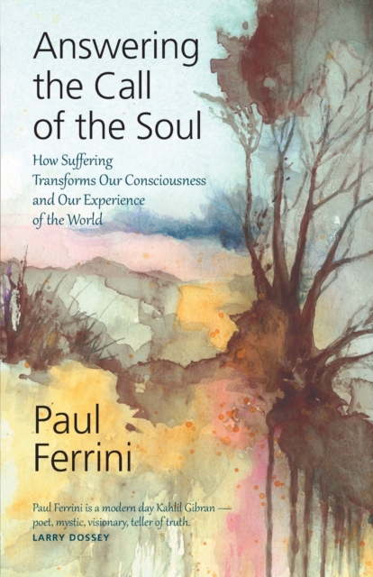 Answering the Call of the Soul : How Suffering Transforms our Consciousness and Our Experience of the World, Paperback / softback Book