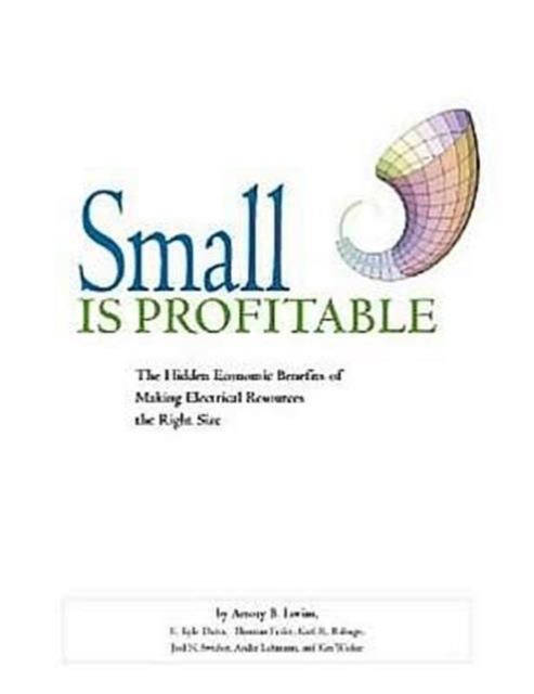 Small is Profitable : The Hidden Economic Benefits of Making Electrical Resources the Right Size, Paperback / softback Book