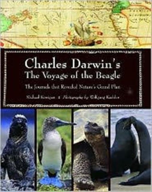 Charles Darwin's Voyage of the Beagle : The Journals That Revealed Nature's Grand Plan, Hardback Book