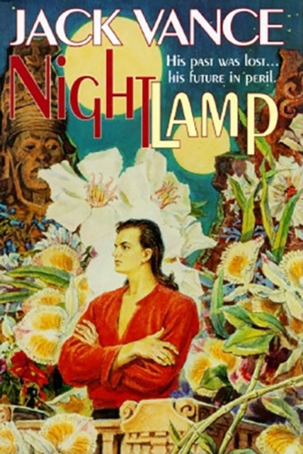 Nightlamp, Hardback Book